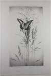 STOW WENGENROTH Two lithographs.